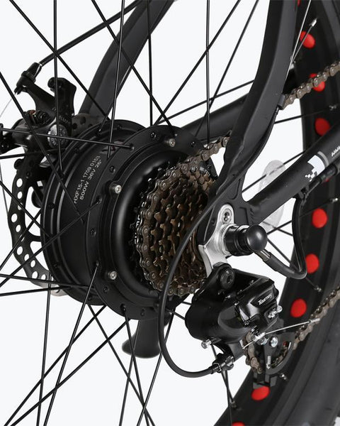 Ecotric Fat Tire Beach Snow E-Bike 500W Black Rim E-bikes for All – Electric Bikes For All