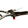 Image of Nakto  Elegance 22" City Cruiser Electric Bike - Electric Bikes For All