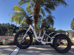 Emojo Caddy 500W Fat Tire Cargo E-Trike