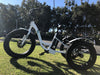 Image of Emojo Caddy 500W Fat Tire Cargo E-Trike - Electric Bikes For All
