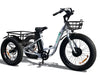 Image of Emojo Caddy 500W Fat Tire Cargo E-Trike - Electric Bikes For All